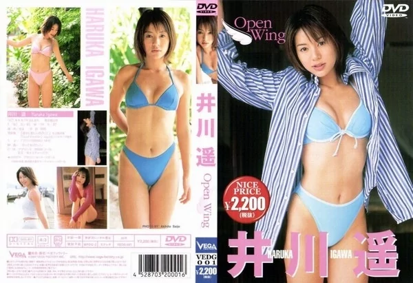 Play video: [VEDG-001] 井川遥 OPEN WING