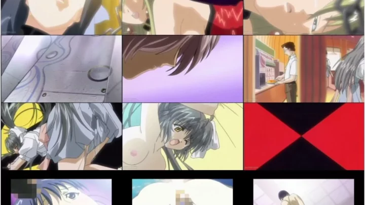 Screenshot 1 from MIXA-025 アニメ 南澤十八 SPECIAL DIRECTORS
