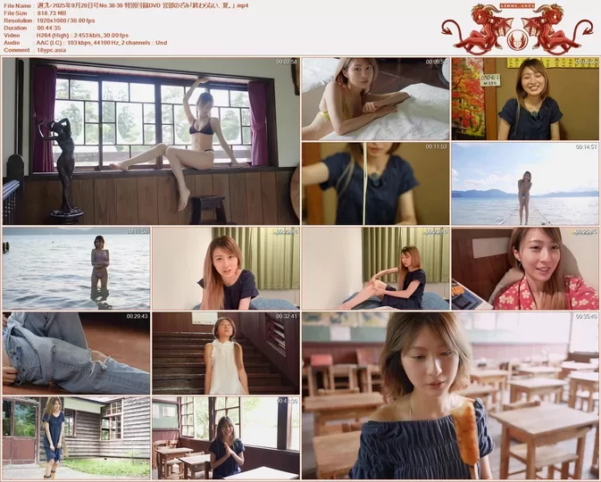 Weekly Playboy 2025年9月29日号No.38-39 特別付録DVD Nozomi Miyabe 「終わらない、夏。」